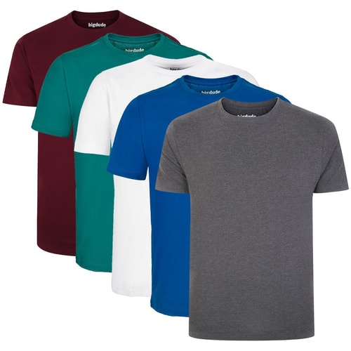 Bigdude 5 Pack Plain T-Shirts